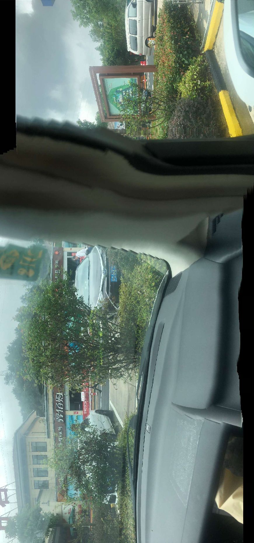 猫图片|宠物猫|猫咪|