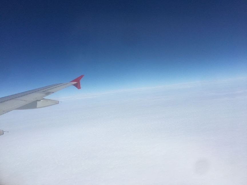 猫图片|宠物猫|猫咪|