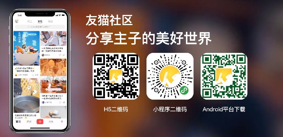 猫图片|宠物猫|猫咪|