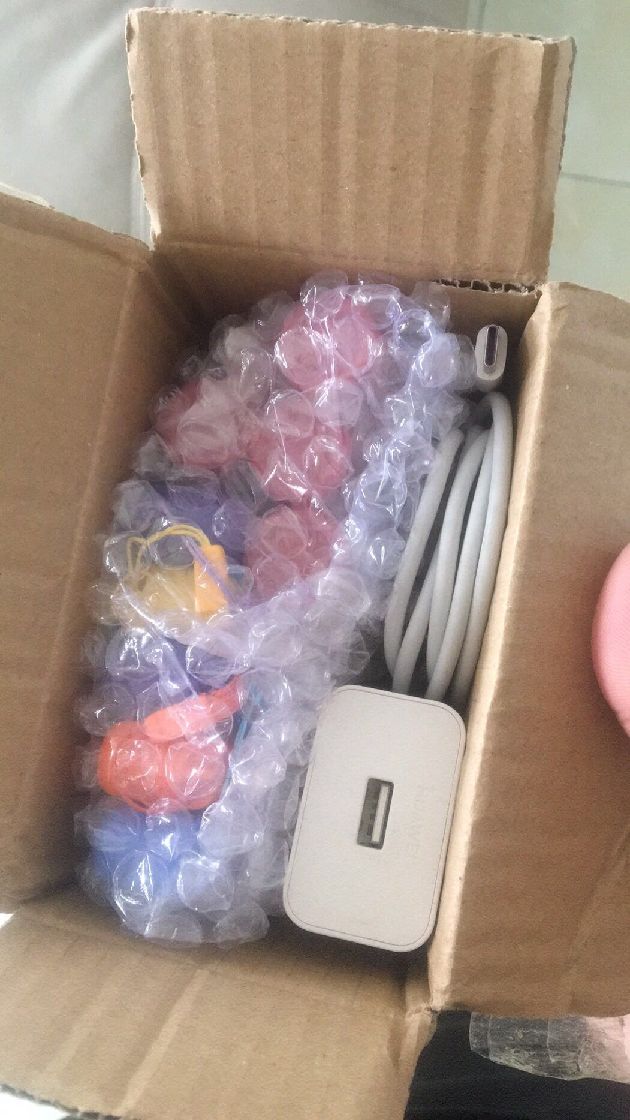 猫图片|宠物猫|猫咪|