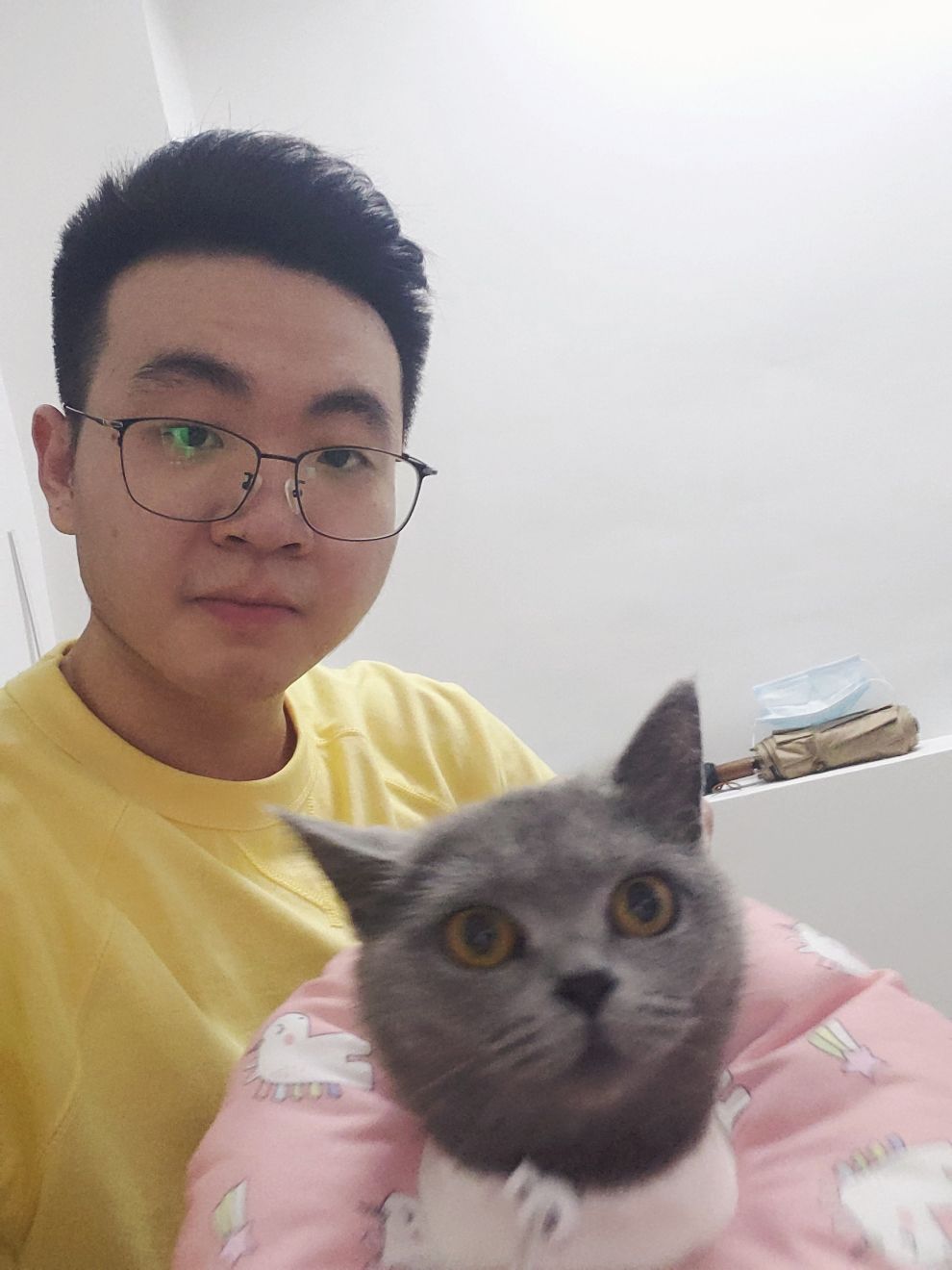 猫图片|宠物猫|猫咪|