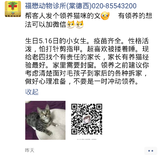 猫图片|宠物猫|猫咪|