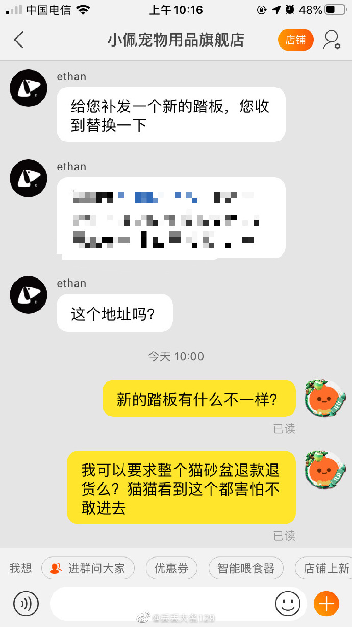 猫图片|宠物猫|猫咪|