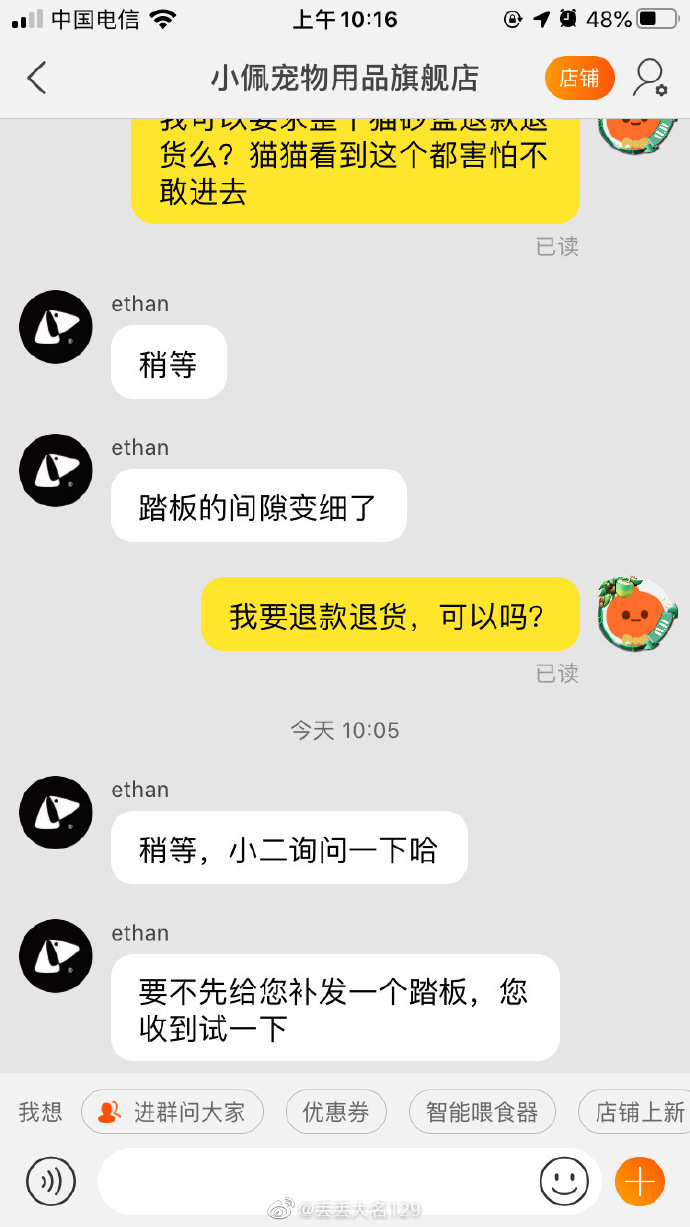 猫图片|宠物猫|猫咪|