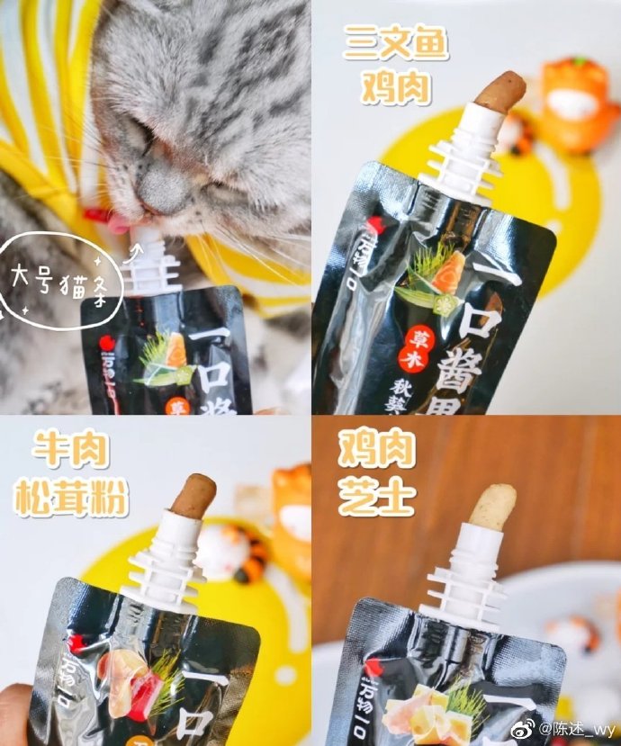 猫图片|宠物猫|猫咪|