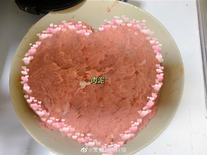 猫图片|宠物猫|猫咪|