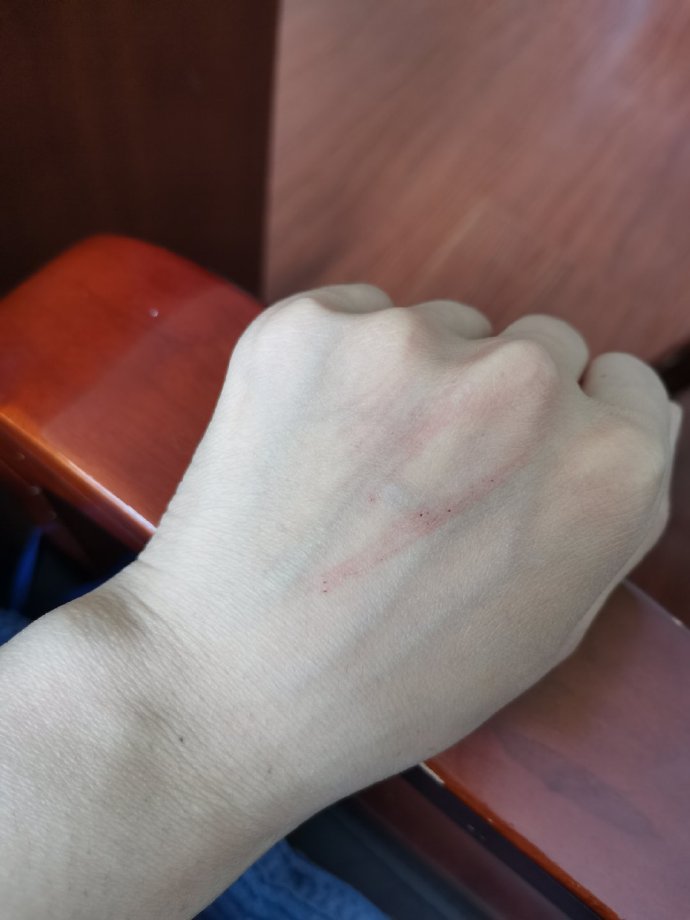 猫图片|宠物猫|猫咪|