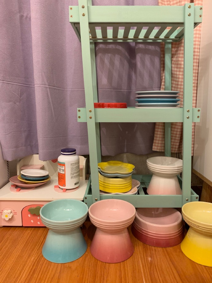 猫图片|宠物猫|猫咪|