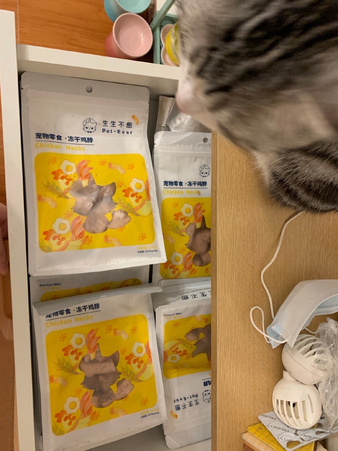 猫图片|宠物猫|猫咪|