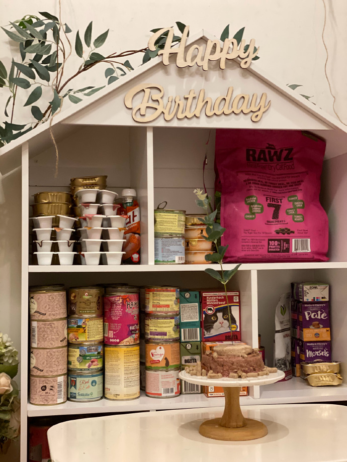 猫图片|宠物猫|猫咪|