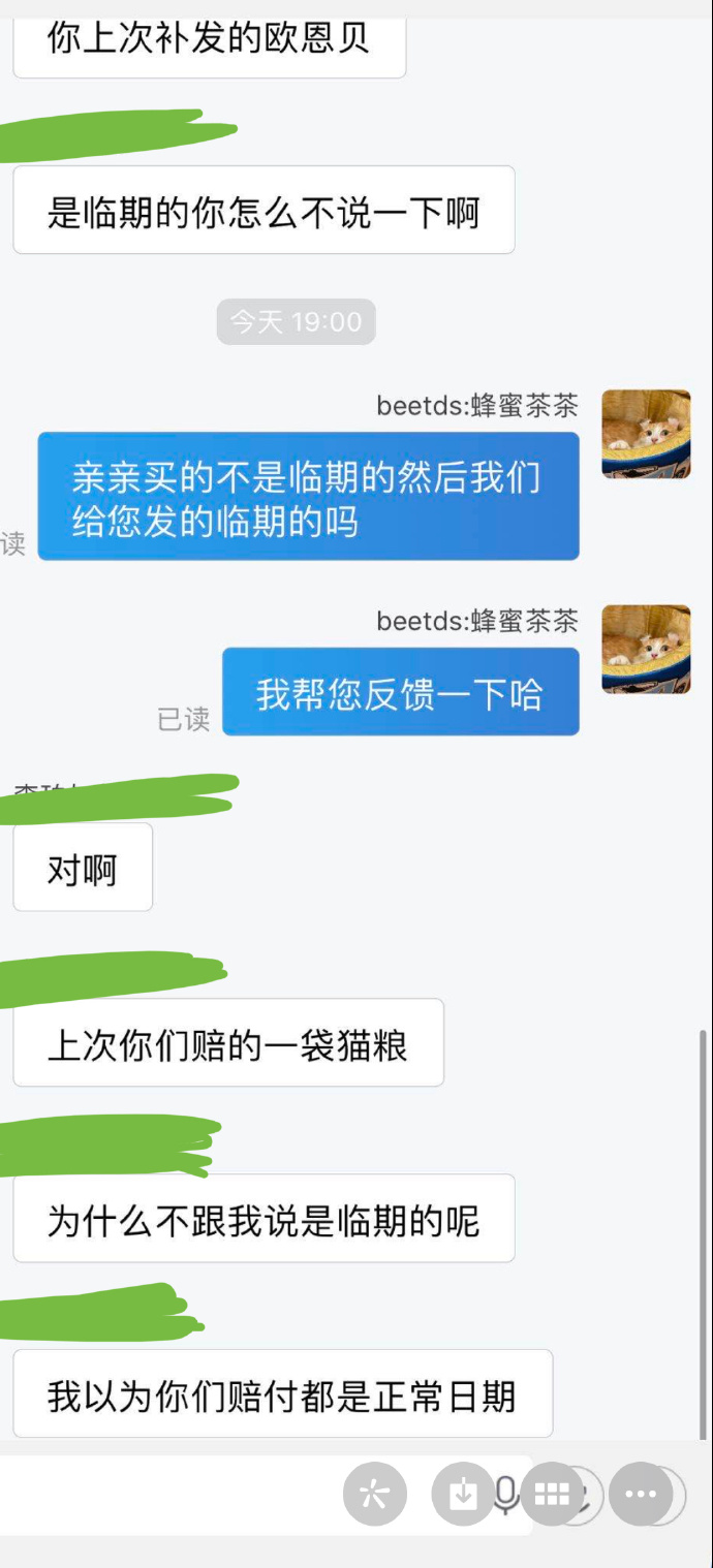 猫图片|宠物猫|猫咪|