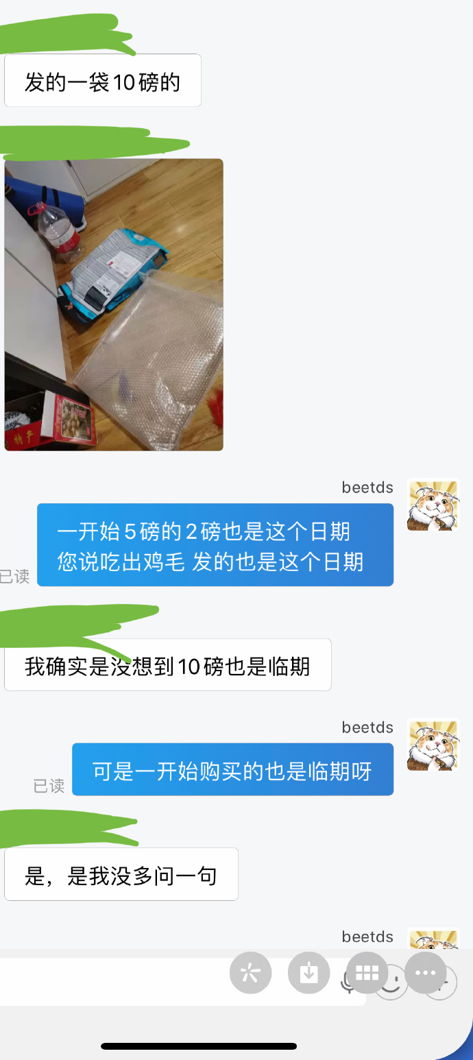 猫图片|宠物猫|猫咪|