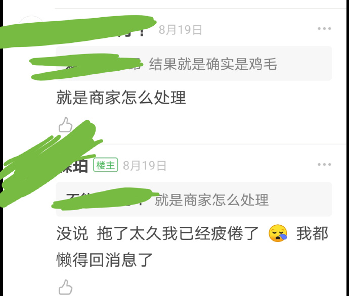 猫图片|宠物猫|猫咪|