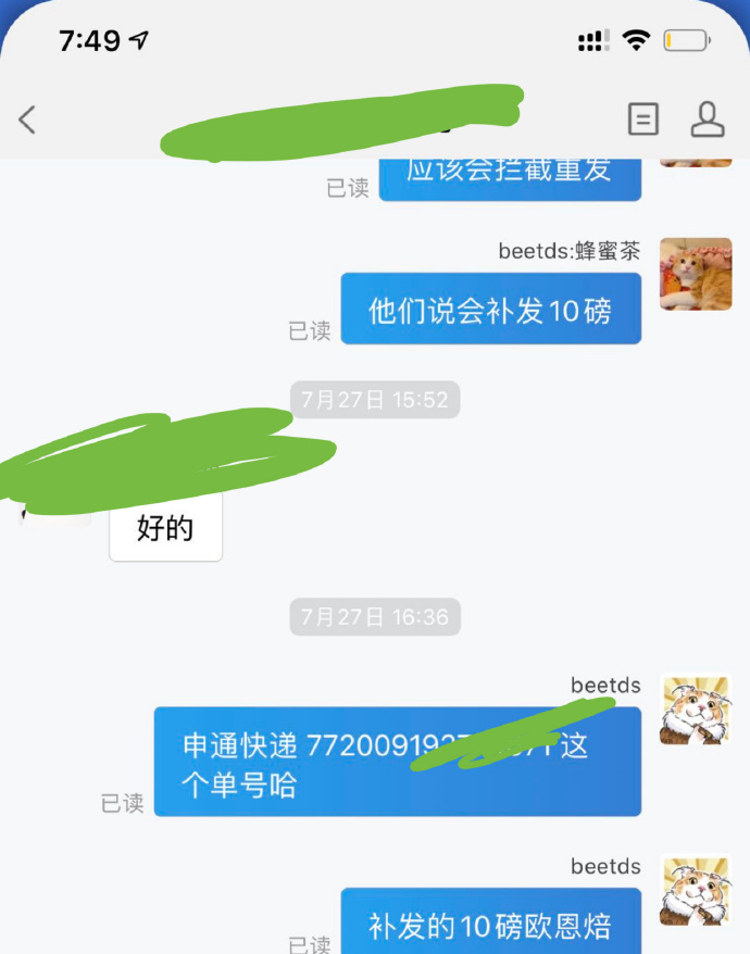 猫图片|宠物猫|猫咪|