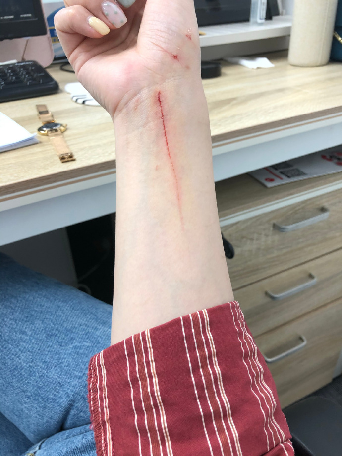 猫图片|宠物猫|猫咪|