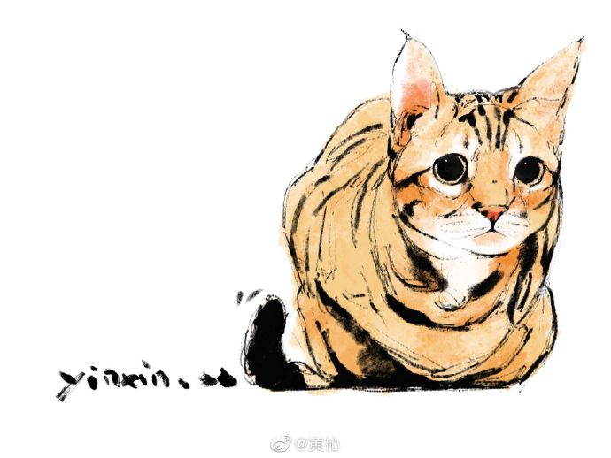 猫图片|宠物猫|猫咪|