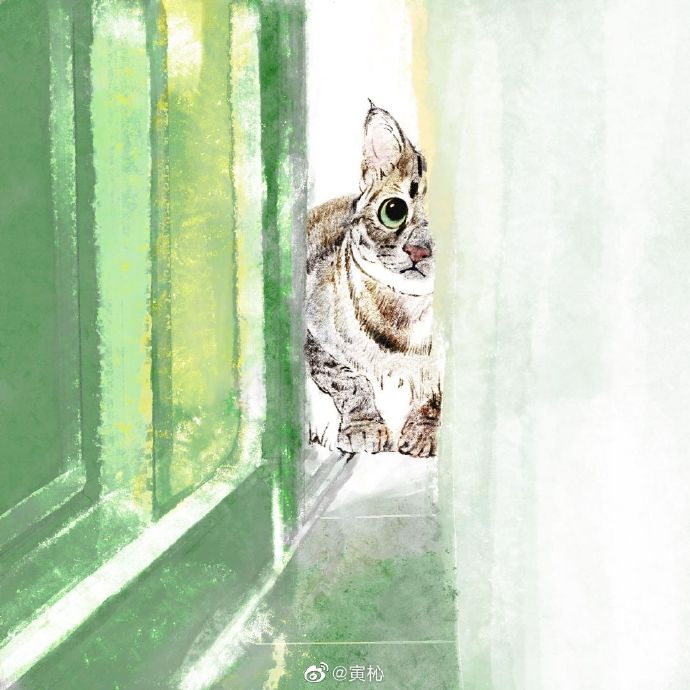 猫图片|宠物猫|猫咪|