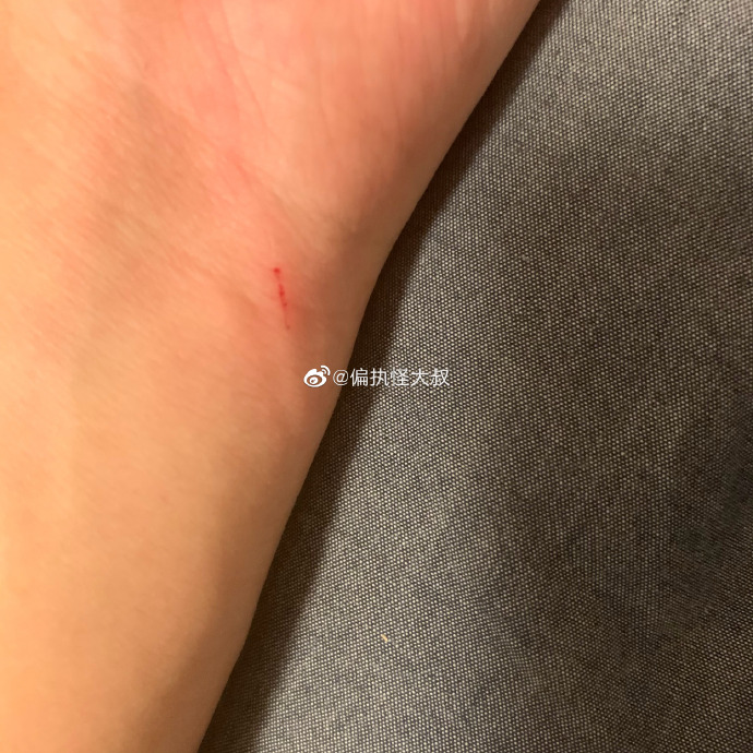 猫图片|宠物猫|猫咪|