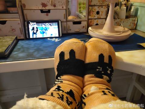 猫图片|宠物猫|猫咪|