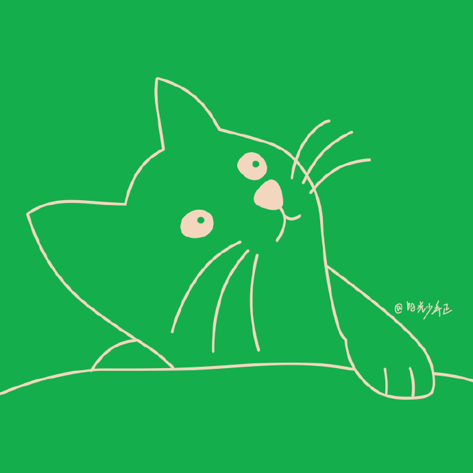 猫图片|宠物猫|猫咪|