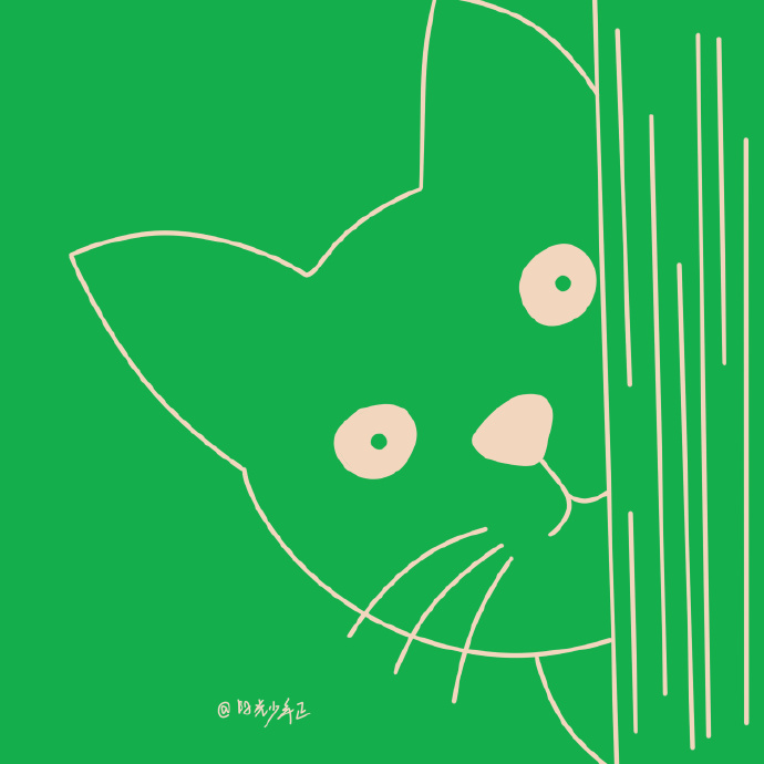 猫图片|宠物猫|猫咪|