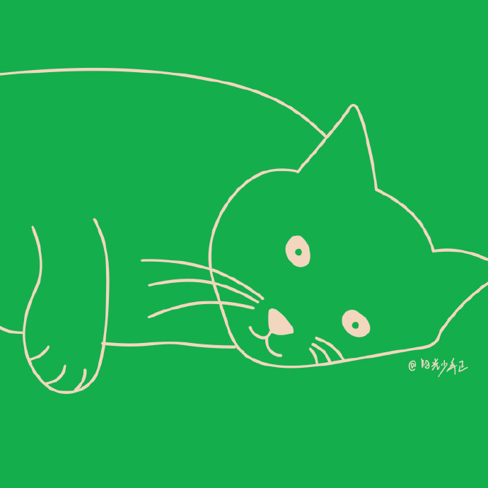 猫图片|宠物猫|猫咪|