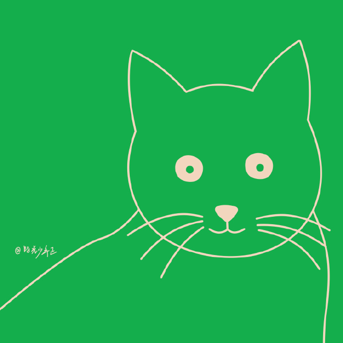 猫图片|宠物猫|猫咪|