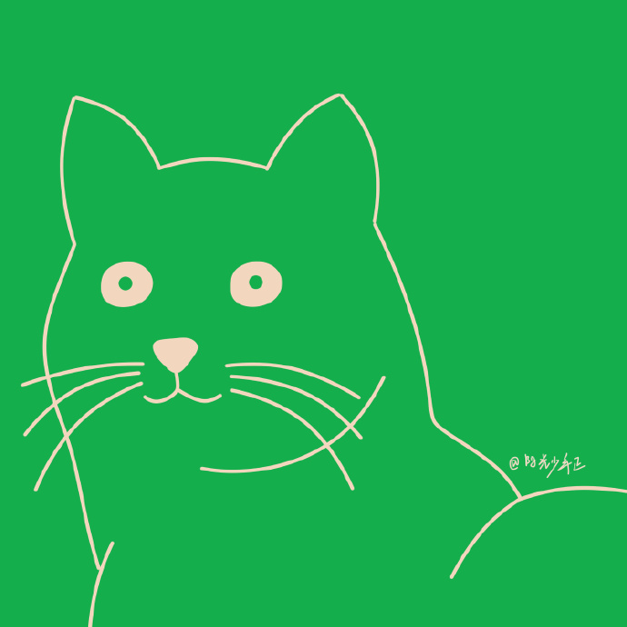 猫图片|宠物猫|猫咪|