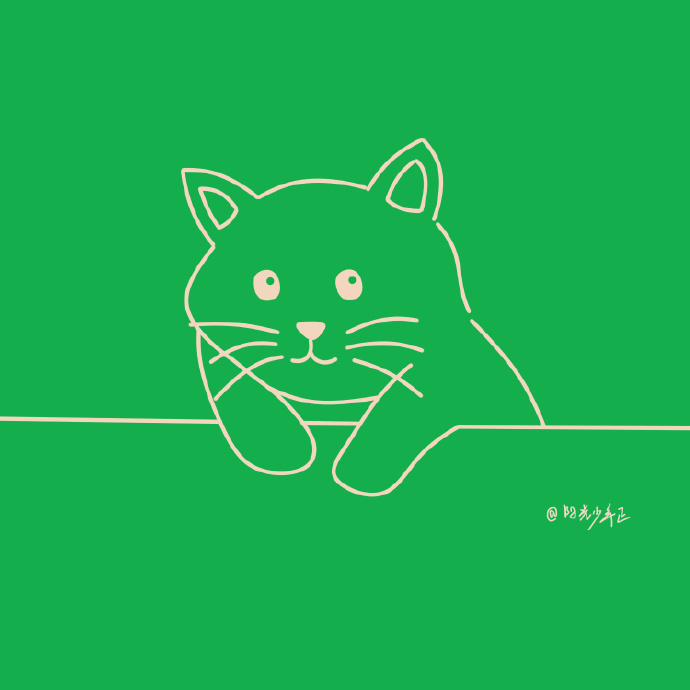 猫图片|宠物猫|猫咪|