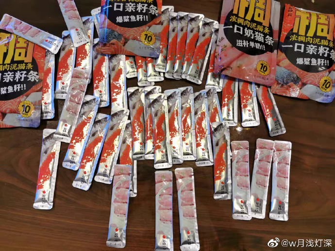 猫图片|宠物猫|猫咪|