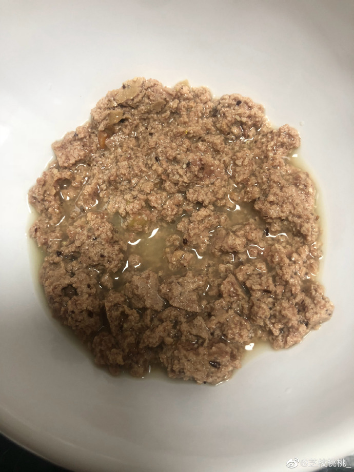 猫图片|宠物猫|猫咪|