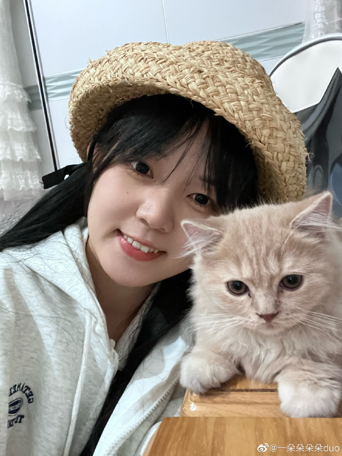 猫图片|宠物猫|猫咪|