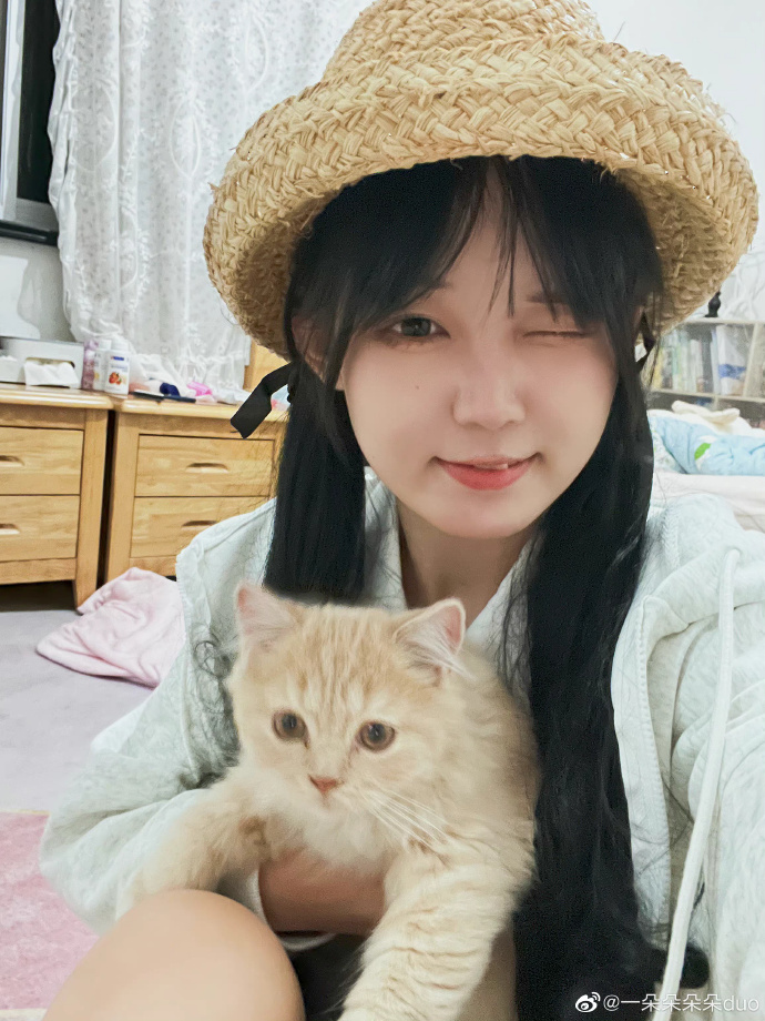 猫图片|宠物猫|猫咪|