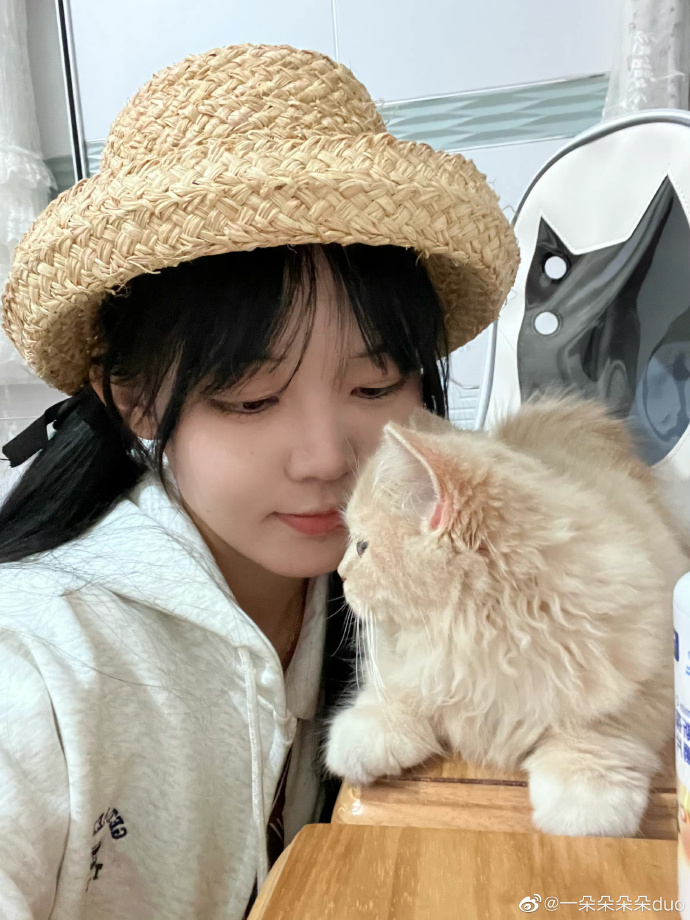 猫图片|宠物猫|猫咪|