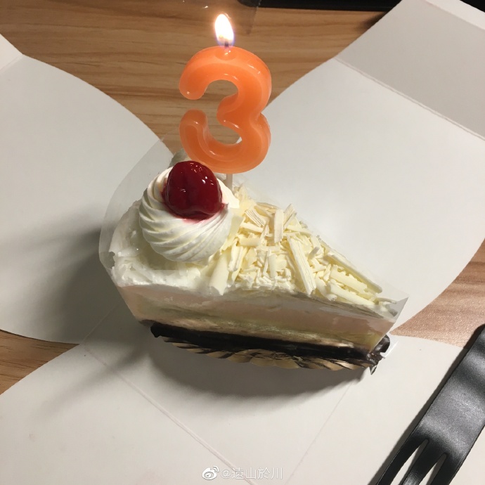 猫图片|宠物猫|猫咪|