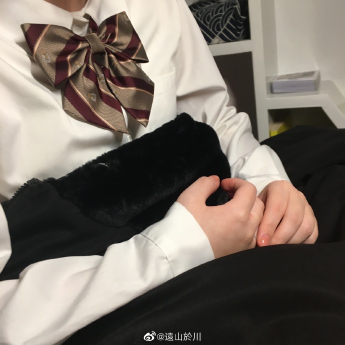 猫图片|宠物猫|猫咪|