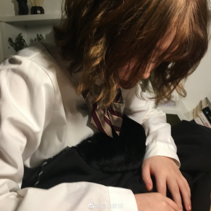 猫图片|宠物猫|猫咪|