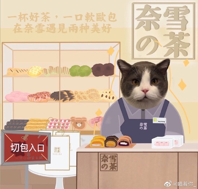 猫图片|宠物猫|猫咪|