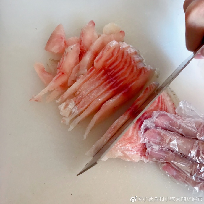 猫图片|宠物猫|猫咪|