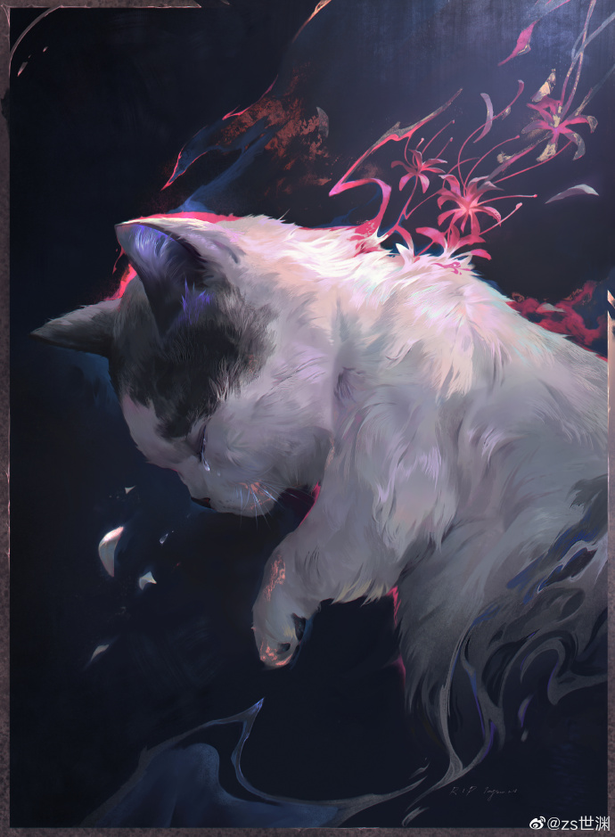 猫图片|宠物猫|猫咪|