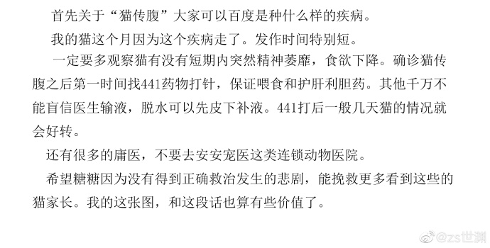 猫图片|宠物猫|猫咪|