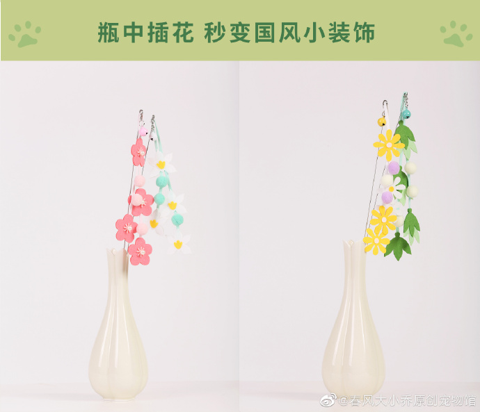 猫图片|宠物猫|猫咪|