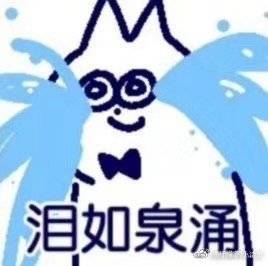 猫图片|宠物猫|猫咪|