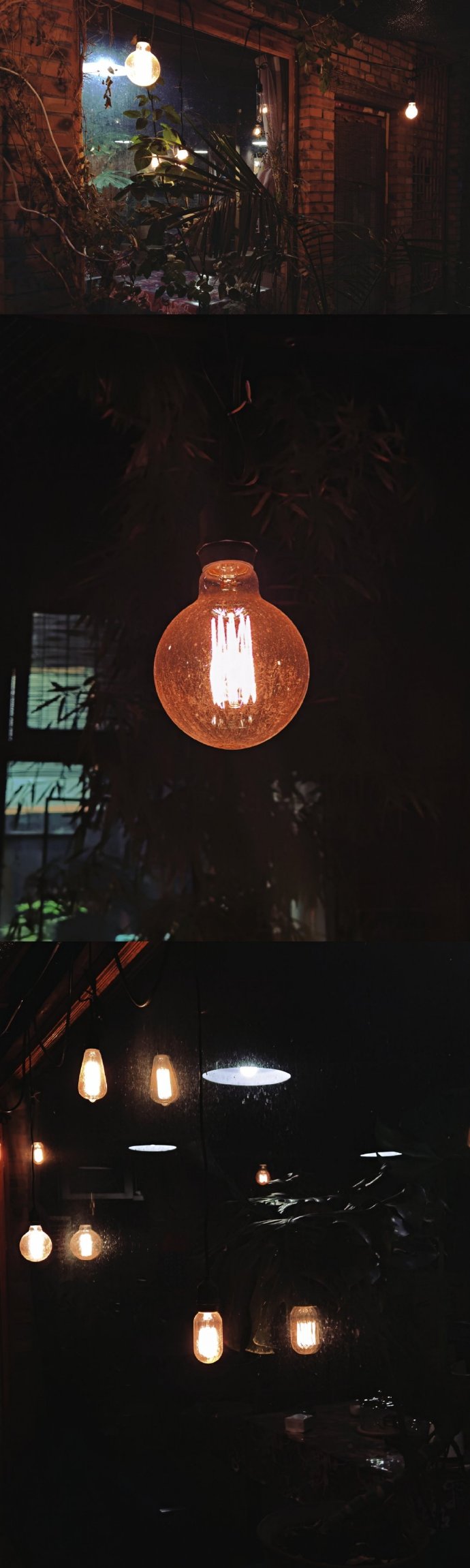 猫图片|宠物猫|猫咪|