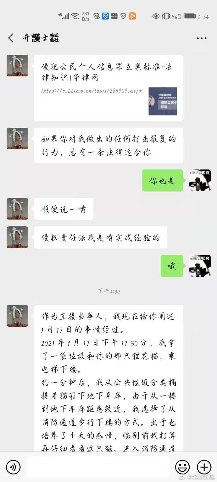 猫图片|宠物猫|猫咪|