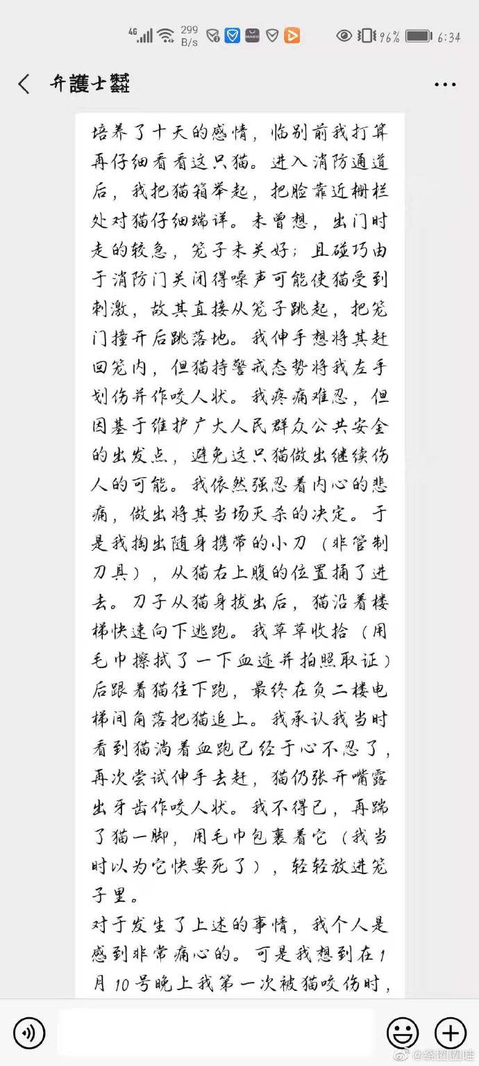 猫图片|宠物猫|猫咪|