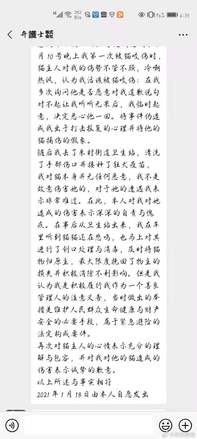 猫图片|宠物猫|猫咪|