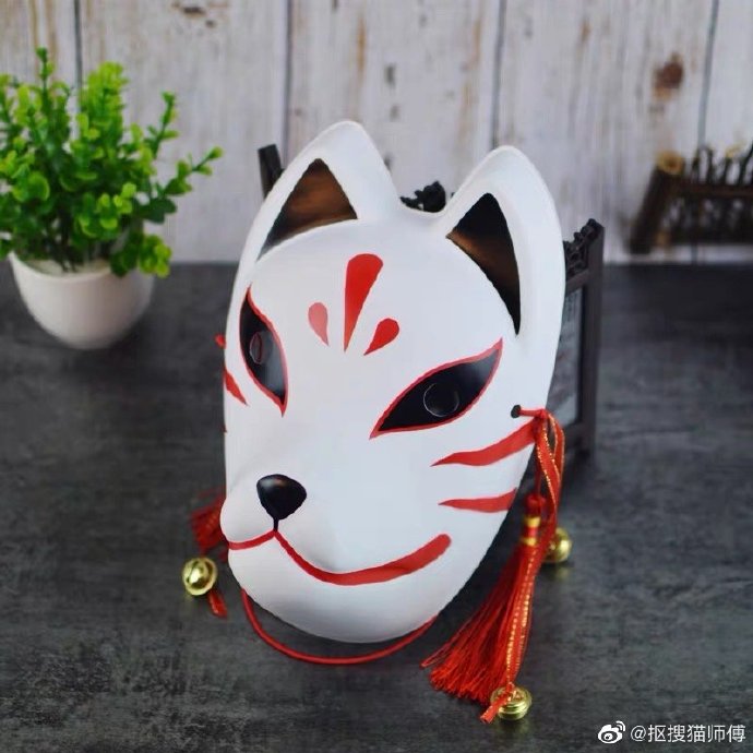 猫图片|宠物猫|猫咪|