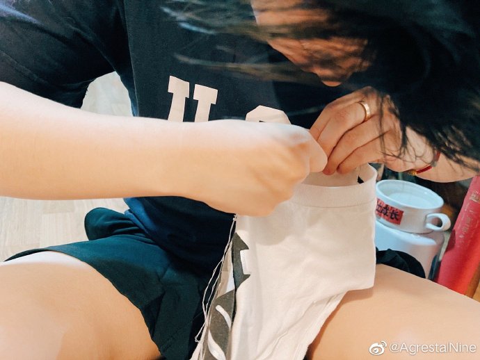 猫图片|宠物猫|猫咪|