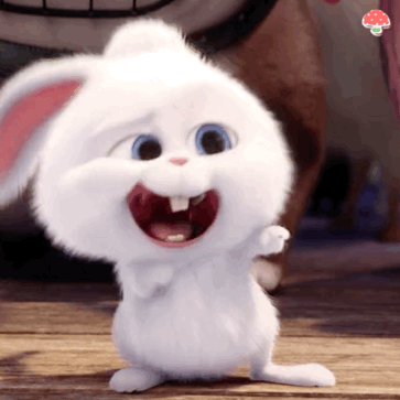 猫图片|宠物猫|猫咪|